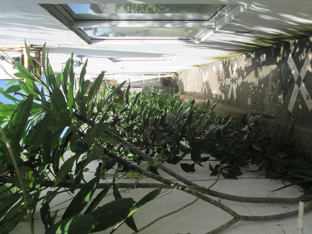 Hostal Poseidon Del Mar San Andrés 外观 照片